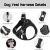 Pet Dog Harness and Leash Set, Reflective Breathable Adjustable Comfort Puppy Harness for Outdoor Travel (Blue, L) view 3