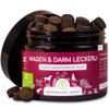 Stomach & Intestine Snacks for Dogs view 1