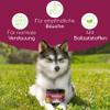 Stomach & Intestine Snacks for Dogs view 2