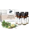 Saunabedarf Schneider Refresh Your Mind Sauna Infusion Set, 5 x 20 ml view 1
