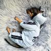 2023 Puppy Costume for French Bulldogs, Chihuahuas and Pugs, Jumpsuit for Small and Medium Dogs, Puppy Outfit, Black, M, 2–3 kg view 2