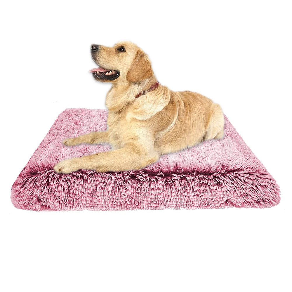 Ultra-Soft Plush Dog Bed Mattress, Egg Crate, Large, Orthopedic, Removable, Washable, Non-Slip, Dog Sleeping Cushion (M, Rose Red)