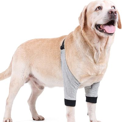 ROFRA Dog Recovery Sleeve After Surgery, Front Leg and Elbow Brace, Cone Alternative, Anti-Lick Sleeve for Dogs, Helps Prevent Wound Infection (M)