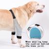 ROFRA Dog Recovery Sleeve After Surgery, Front Leg and Elbow Brace, Cone Alternative, Anti-Lick Sleeve for Dogs, Helps Prevent Wound Infection (M) view 4