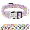 Senristar Personalized Floral Dog Collar with Name and Engraved Buckle view 1