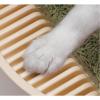SUNESA Open-Top Cat Litter Box with Leaf-Shaped Design view 3
