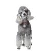 Engraved Pet ID Tag, Personalized Dog and Cat Name Tag, Silver, 22.4 x 20 mm view 4