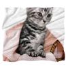 Plush Microfiber Blanket for Cats, Gray view 1