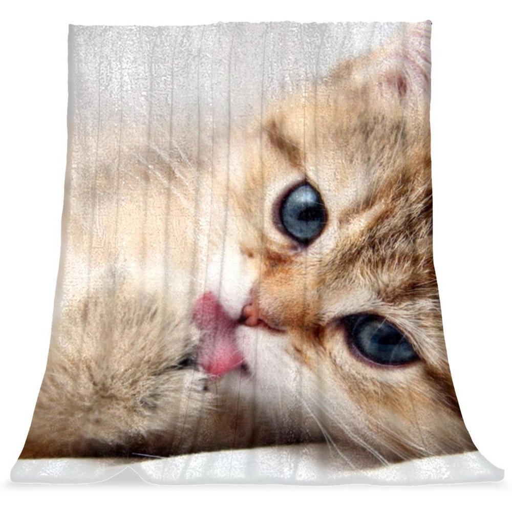 Warm, Cozy Plush Microfiber Blanket for Cats
