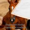 Plush Horse Blanket, Warm and Soft Microfiber view 3