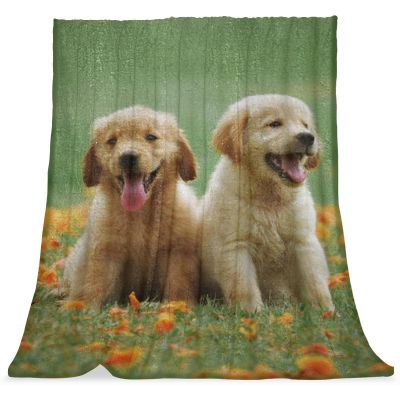 TBOUOBT Golden Retriever Fleece Blanket for Bedroom, Sofa, or Floor