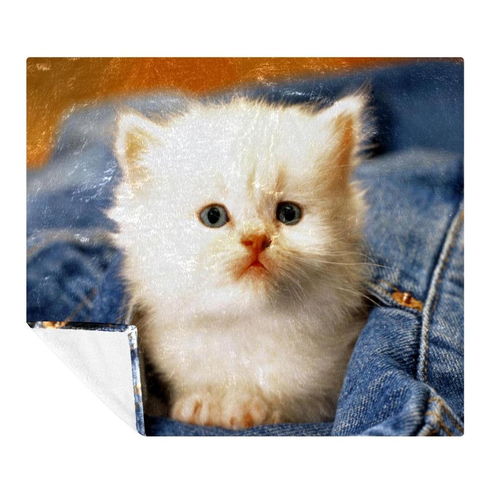 Plush Blanket, Cozy Soft Microfiber Blanket with White Cat Design