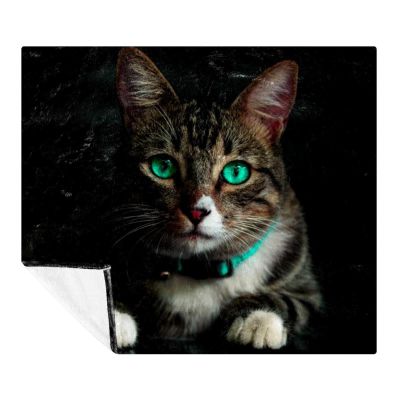 Plush Cozy Soft Microfiber Blanket for Cats and Pets