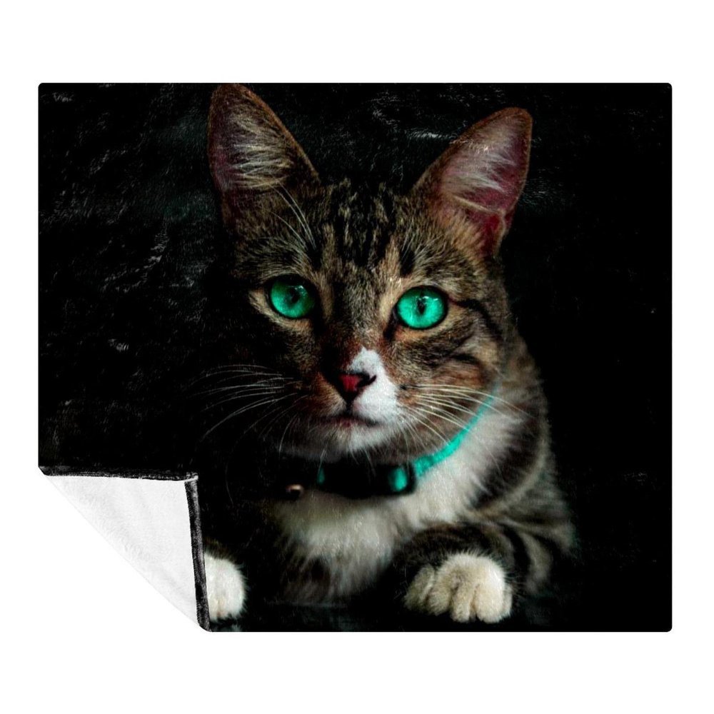 Plush Cozy Soft Microfiber Blanket for Cats and Pets