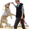 Dog Trainer Obedience Vest, Black view 4