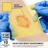 Ceeport Manuka Honey Gauze Wound Dressings, 4 x 4 in, 10 Count view 4