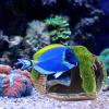 Aquarium Decoration - Moss Simulation Resin Cave Ornament view 4