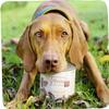 MjAMjAM - Premium Wet Dog Food - Pure Juicy Chicken, 800g view 3
