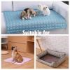 Disposable Dog Training Pads view 4