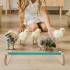 Chicken Perch and Bird Stand for Chickens and Birds view 3