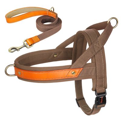REYNEM Nylon Dog Collar, Harness & Leash Set, No-Pull, Leather, Puppy Dog Harness, Pet Vest, Strap for Small and Medium Dogs, French Bulldog (Color: Brown 2 Set, Size: L)