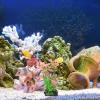 POPETPOP 10-Piece Artificial Aquarium Plants for Betta Fish view 2