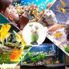 POPETPOP 10-Piece Artificial Aquarium Plants for Betta Fish view 3