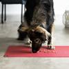 SanoZoo Bowl Mat – ÖKO-TEX Certified, Made in Germany, Non-Slip, Waterproof, Round, 120 cm, Gray view 4