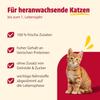 animonda Carny Kitten Wet Cat Food, Chicken + Beef (12 x 200 g) view 3