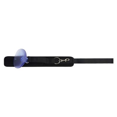Luojuny Nylon Pet Bathing Tether with Suction Cup, Black