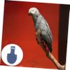 Cotton Parrot Flight Suit with Adjustable Leash view 3