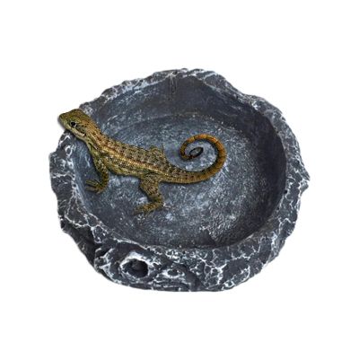 delr Reptile Water Bowl