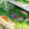 delr Reptile Water Bowl view 2