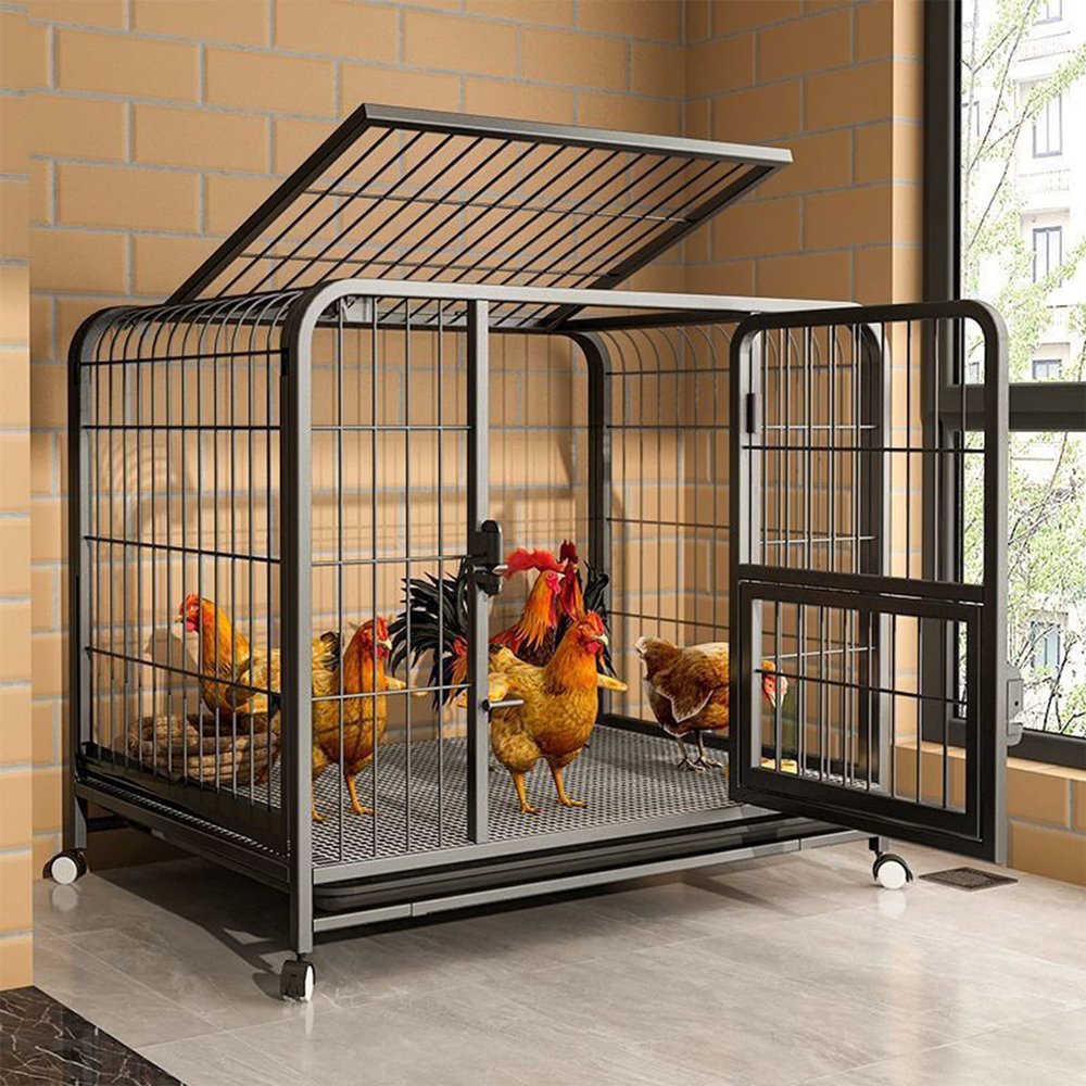LOERSS Chicken Coop and Nesting Box with Pull-Out Tray, Black (L)