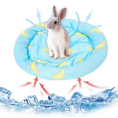 Small Animal Cooling Mat for Rabbits, Hamsters, Puppies, Guinea Pigs (Blue)