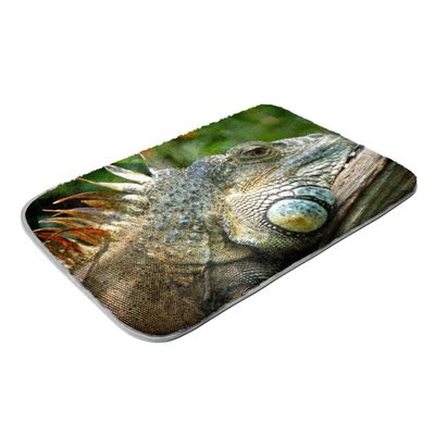 Fluffy Area Shag Rug, Ultra-Soft for Bedrooms, Great for Reptiles and Lizards