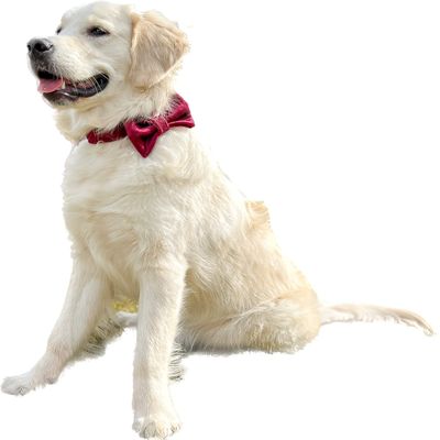 Bow Tie for Dog Collar, Durable and Thick Bow Tie (L, Cherry)