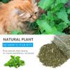 OSDUE Catnip with Refillable Pouch, 100% Natural Blend, for Cat Play and Training (50g) view 3