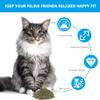 OSDUE Catnip with Refillable Pouch, 100% Natural Blend, for Cat Play and Training (50g) view 4
