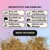 People who Kaer Intestinal Powder for Dogs, 2 x 200 g, Probiotics & Prebiotics view 2