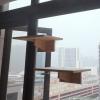 Sudemota Window-Mounted Cat Scratcher and Climbing Shelf with Suction Cups view 3
