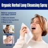 DUBUSH Heartflash Organic Herbal Lung-Cleansing Mist view 2