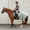 SUNRIDE Wellington Fleece Horse Cooler Blanket, 280 g/m², Quick-Drying, Lightweight, Olive, 165 cm view 3
