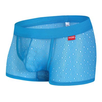 Men's Mesh Boxer Briefs, Sheer Sexy Underwear, Soft Thong, Sky Blue, XL
