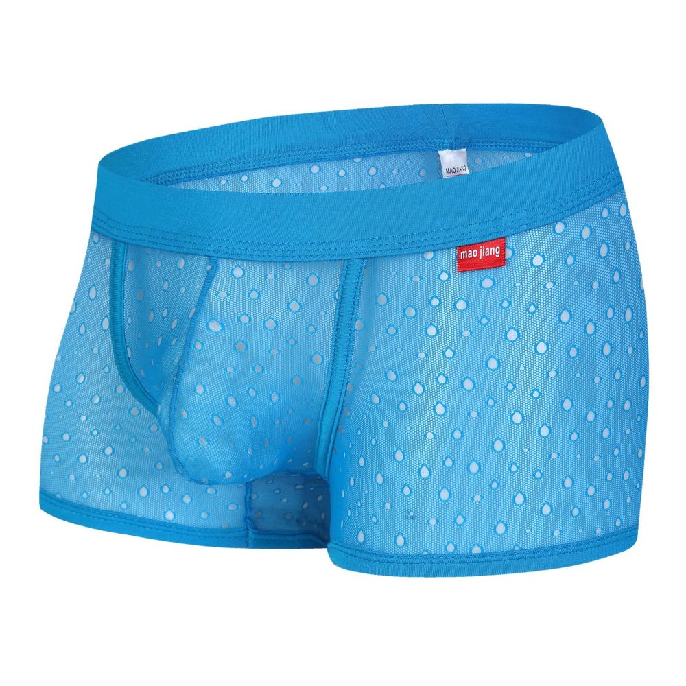 Men's Mesh Boxer Briefs, Sheer Sexy Underwear, Soft Thong, Sky Blue, XL