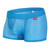 Men's Mesh Boxer Briefs, Sheer Sexy Underwear, Soft Thong, Sky Blue, XL view 1
