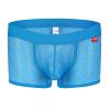 Men's Mesh Boxer Briefs, Sheer Sexy Underwear, Soft Thong, Sky Blue, XL view 2