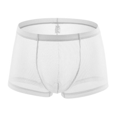 Men's White Sheer Mesh Thong Underwear, Size S