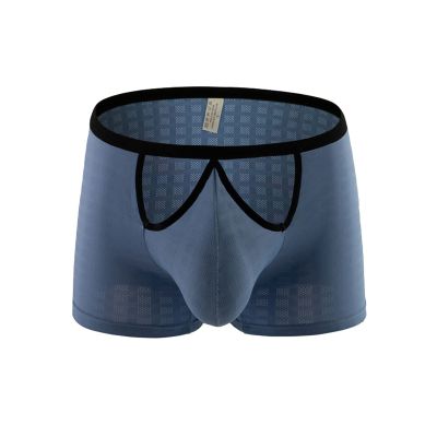 Men’s Mesh Underwear, Sheer Sexy Thong Briefs, Light Blue, XXL