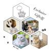 Personalized Pet ID Tag, Black, 37 x 36.3 mm view 4